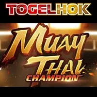 Muay Thai Champion